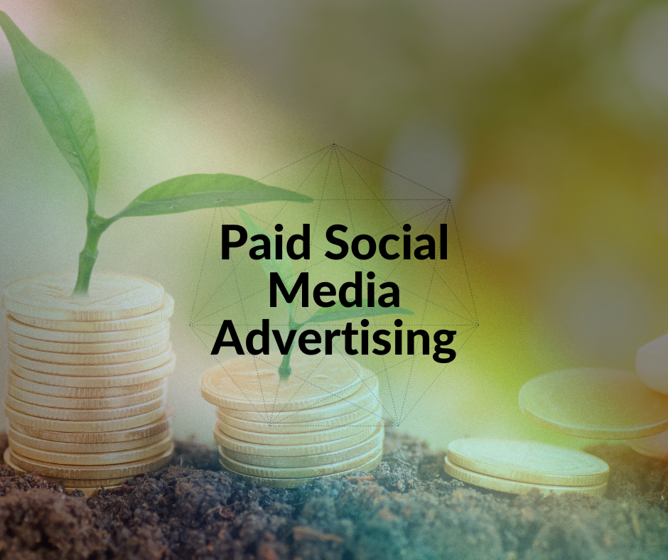A visual showing the benefits of paid social media advertising for business growth.